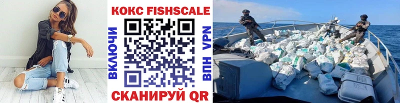 купить наркотики сайты  Змеиногорск  Кокаин FishScale 