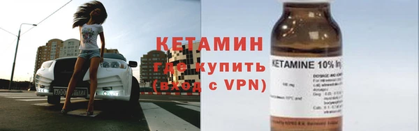 молекула духа Вяземский