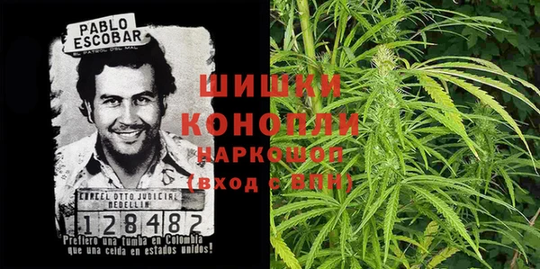 сатива Володарск