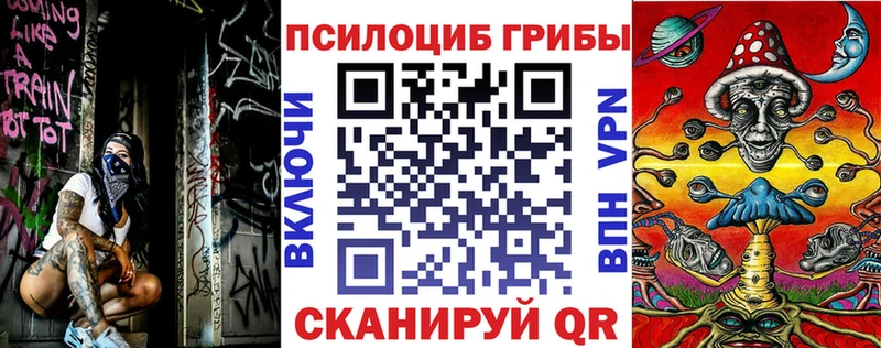 ссылка на мегу ССЫЛКА  Змеиногорск  Псилоцибиновые грибы Cubensis 